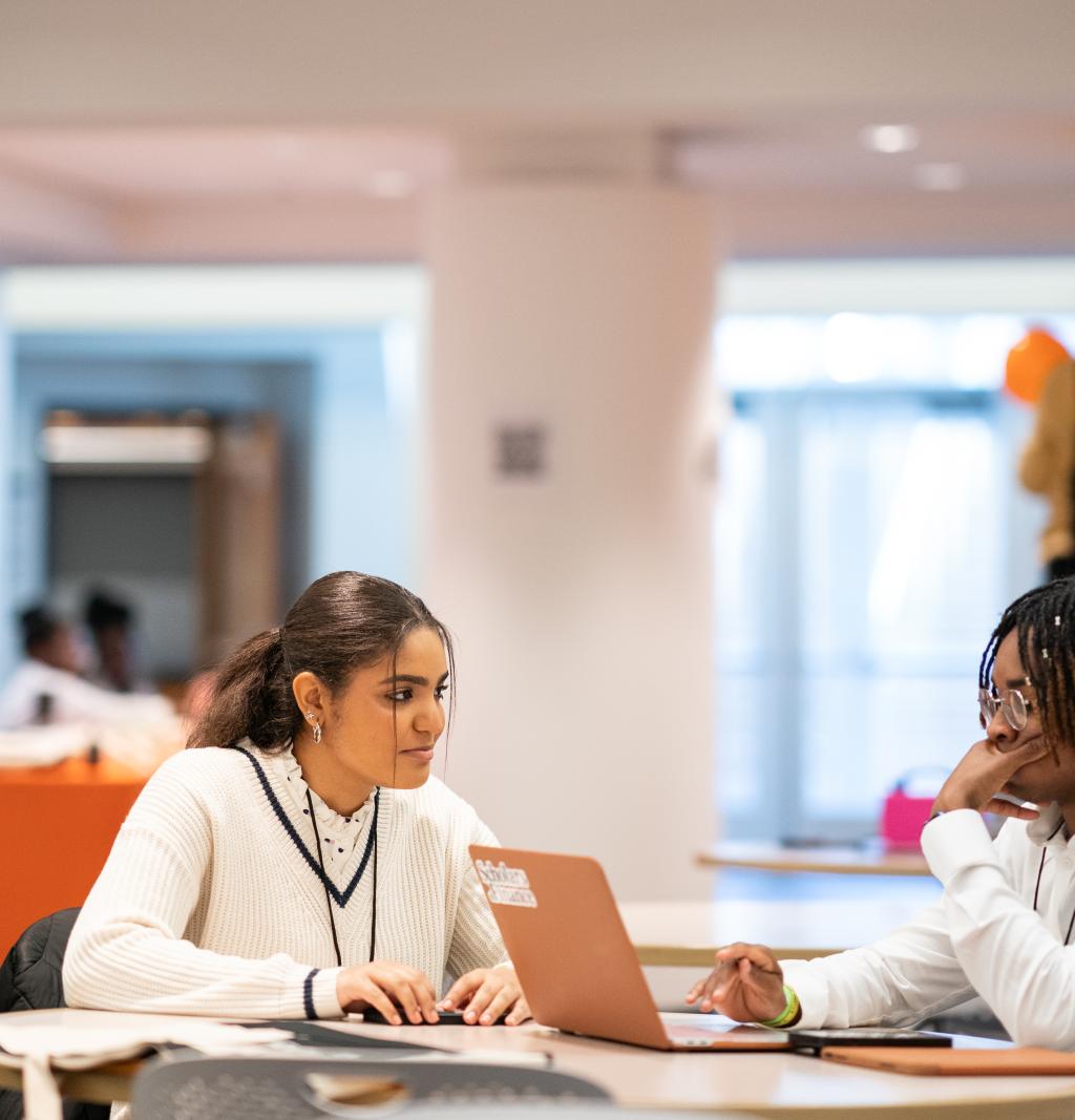 Two students working together