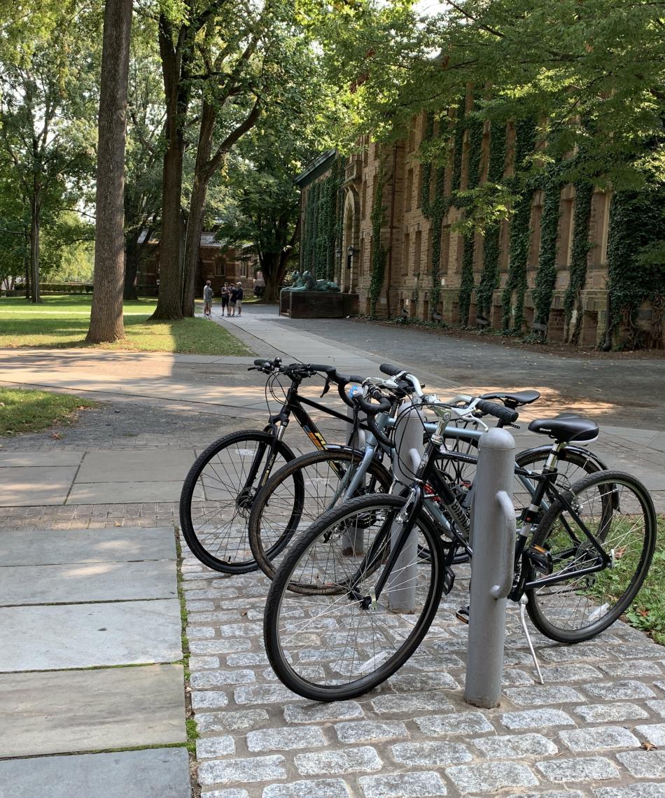 Parked bikes on campus