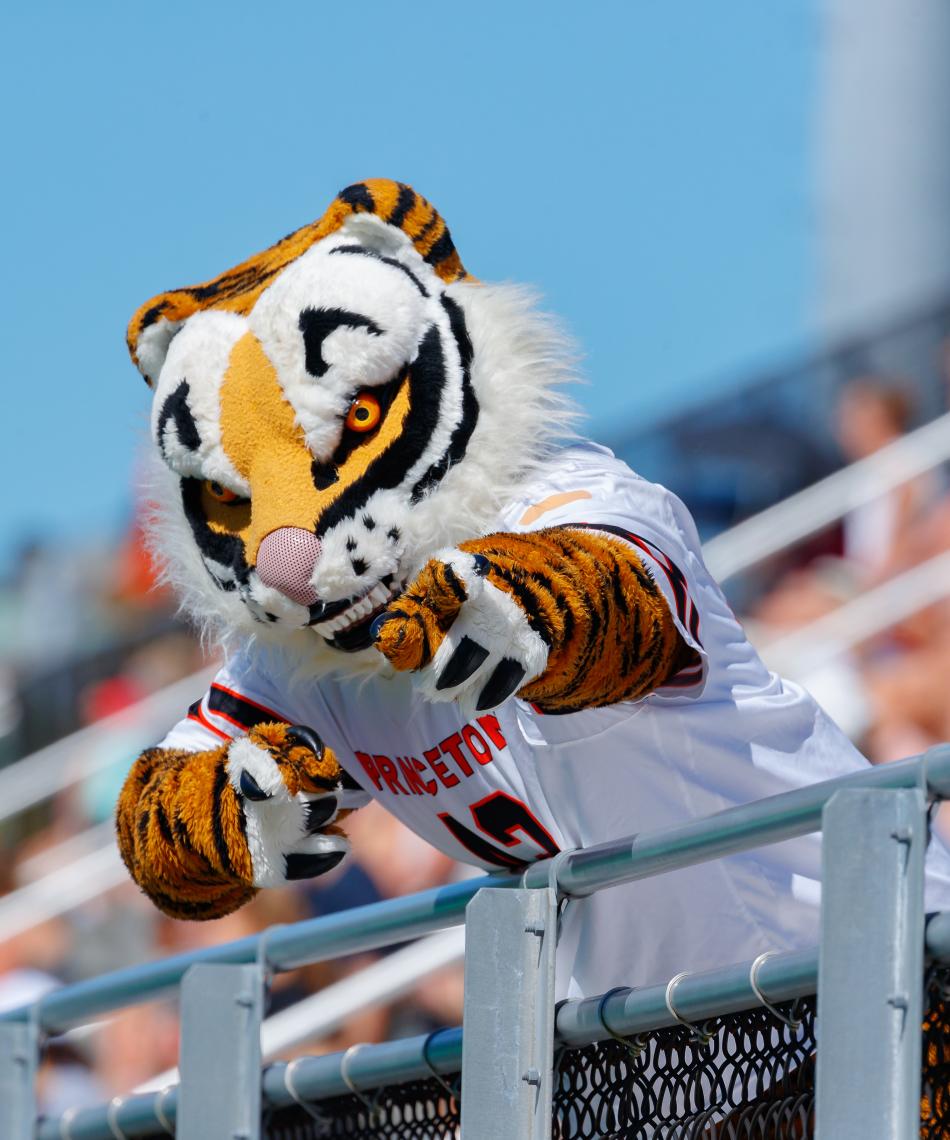 Tiger mascot