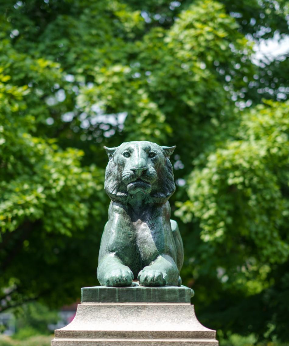 Tiger statue