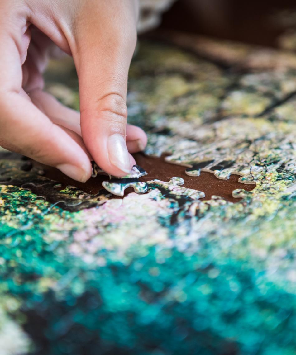 Putting a puzzle together