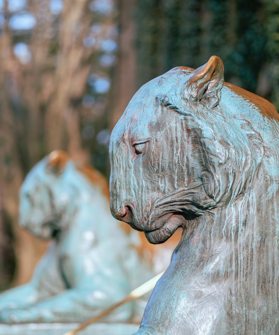 Calendars Events TigerLife Princeton Campus Life Resources