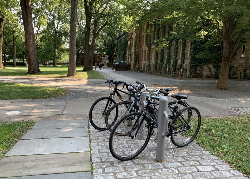Parked bikes on campus