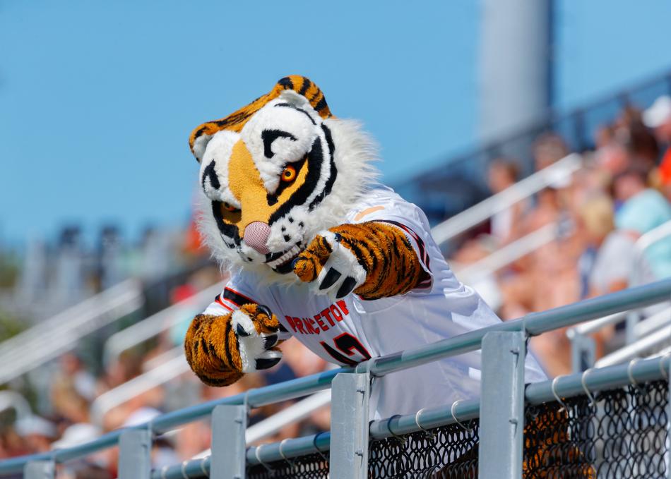 Tiger mascot