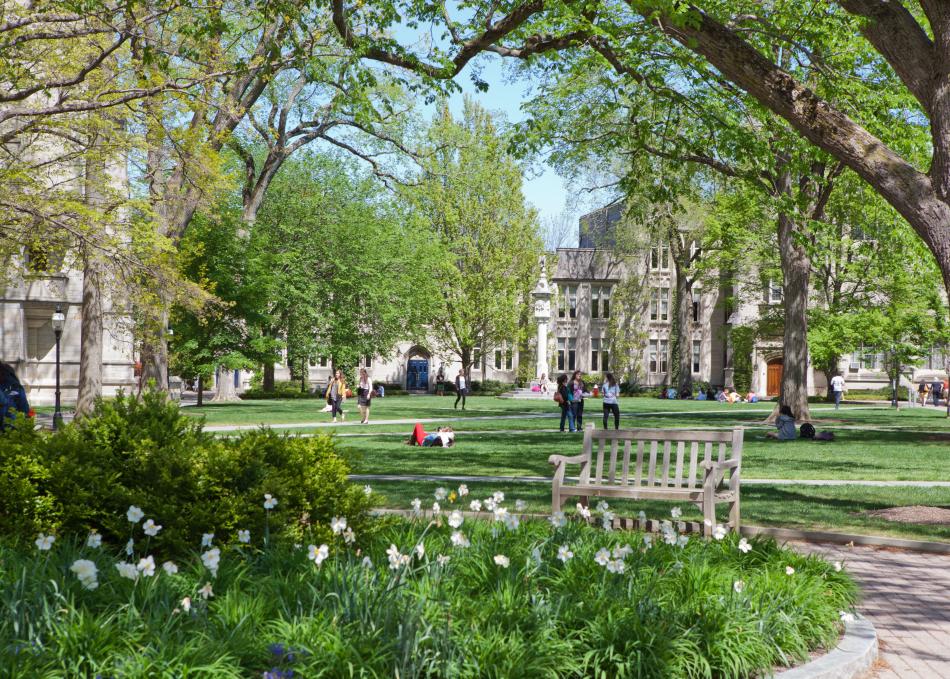 campus beauty
